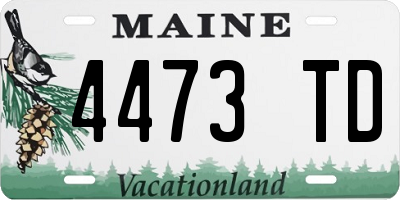 ME license plate 4473TD