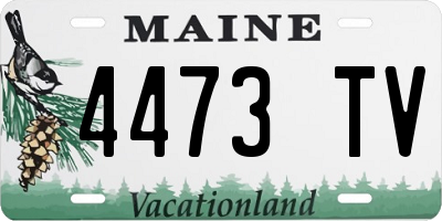 ME license plate 4473TV
