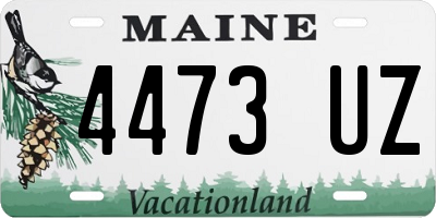 ME license plate 4473UZ