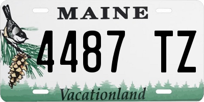 ME license plate 4487TZ