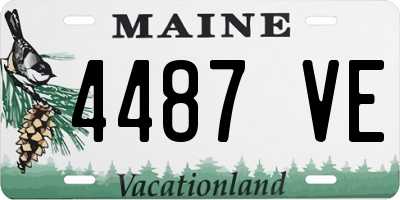 ME license plate 4487VE