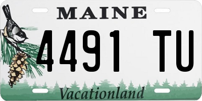 ME license plate 4491TU