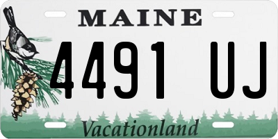 ME license plate 4491UJ