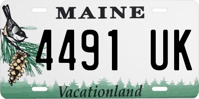 ME license plate 4491UK