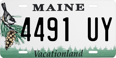 ME license plate 4491UY