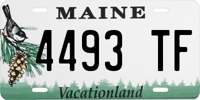 ME license plate 4493TF
