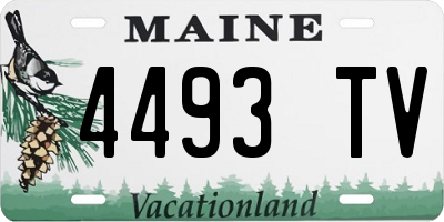 ME license plate 4493TV