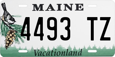 ME license plate 4493TZ