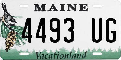 ME license plate 4493UG