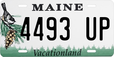 ME license plate 4493UP