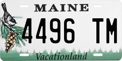 ME license plate 4496TM