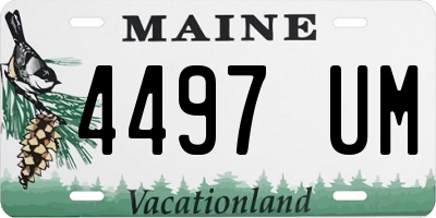 ME license plate 4497UM