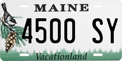 ME license plate 4500SY