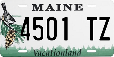 ME license plate 4501TZ
