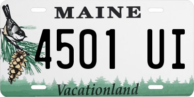 ME license plate 4501UI