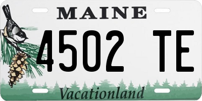 ME license plate 4502TE