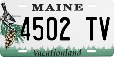 ME license plate 4502TV