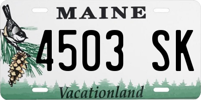 ME license plate 4503SK