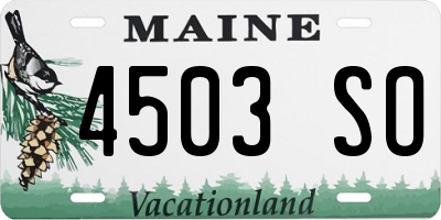 ME license plate 4503SO