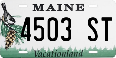 ME license plate 4503ST