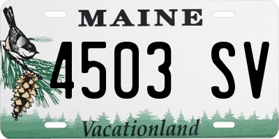 ME license plate 4503SV