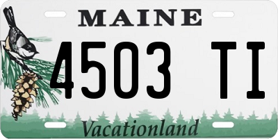 ME license plate 4503TI
