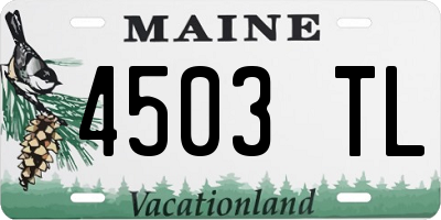 ME license plate 4503TL