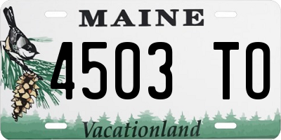 ME license plate 4503TO