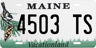 ME license plate 4503TS