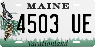 ME license plate 4503UE