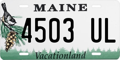 ME license plate 4503UL