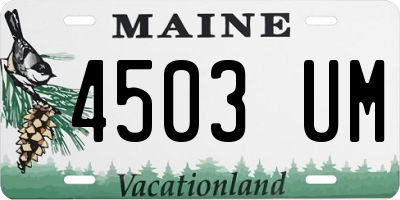 ME license plate 4503UM