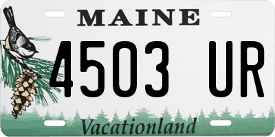 ME license plate 4503UR
