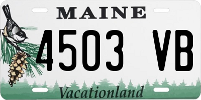 ME license plate 4503VB