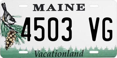 ME license plate 4503VG