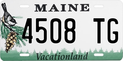 ME license plate 4508TG