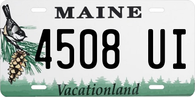 ME license plate 4508UI
