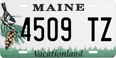 ME license plate 4509TZ