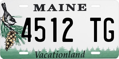 ME license plate 4512TG