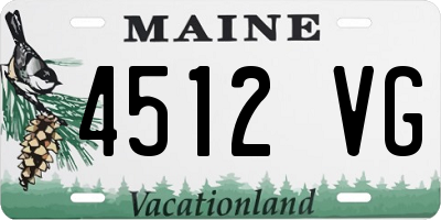 ME license plate 4512VG