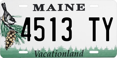 ME license plate 4513TY