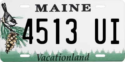 ME license plate 4513UI