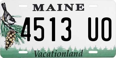 ME license plate 4513UO