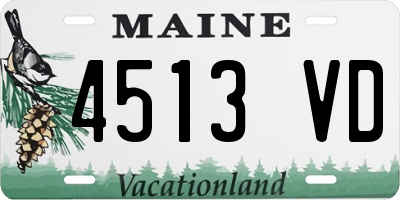 ME license plate 4513VD
