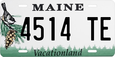 ME license plate 4514TE
