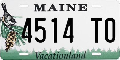 ME license plate 4514TO