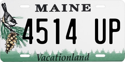 ME license plate 4514UP