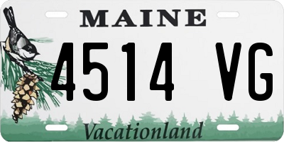 ME license plate 4514VG