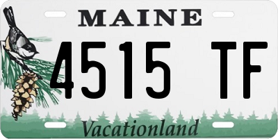 ME license plate 4515TF