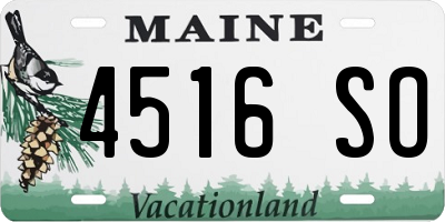 ME license plate 4516SO